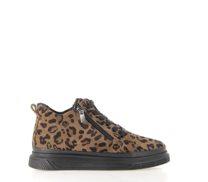 MAISEY LEOPARD COFFEE TBYKK02-BLACK